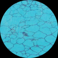 Chinese Turquoise