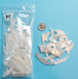 Mother of pearl remnants, medium, 8 oz