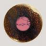 Rosewood End Pins w/ Rhodonite dot